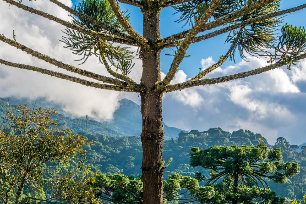 Pousada Ricanto Amore Mio Monte Verde  Luaran gambar